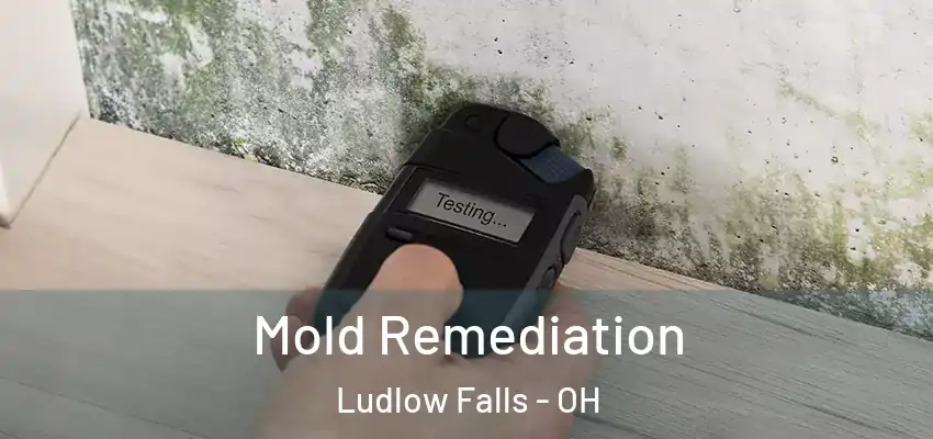 Mold Remediation Ludlow Falls - OH