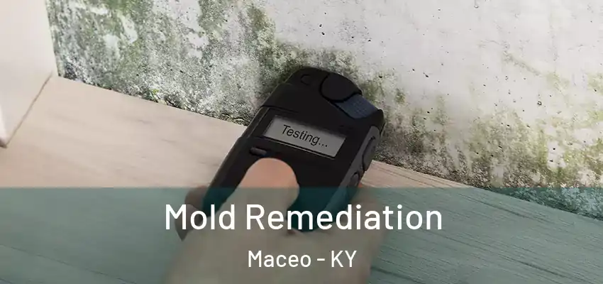  Mold Remediation Maceo - KY