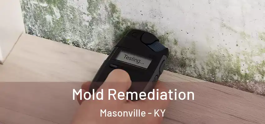  Mold Remediation Masonville - KY