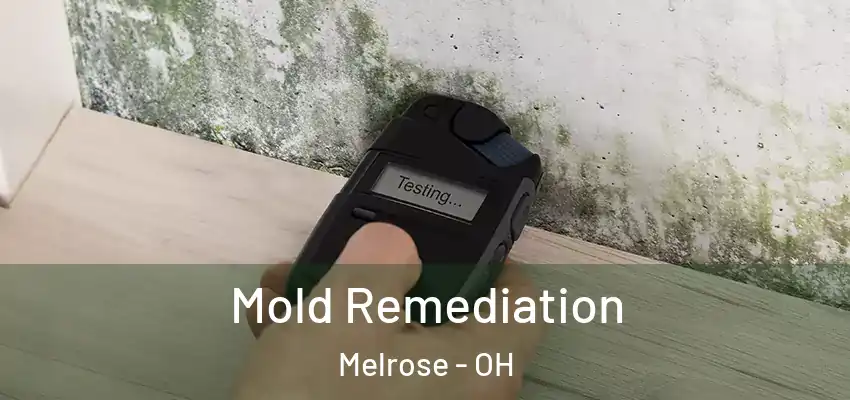  Mold Remediation Melrose - OH
