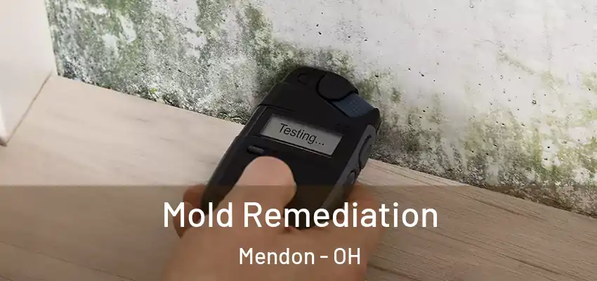  Mold Remediation Mendon - OH