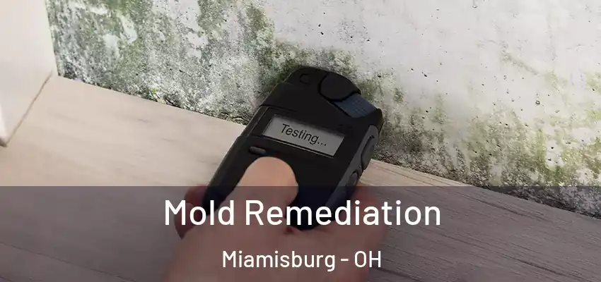 Mold Remediation Miamisburg - OH