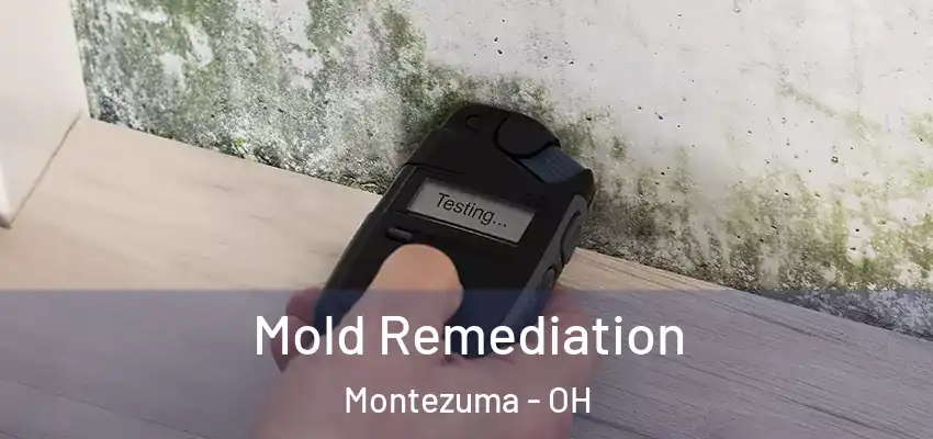  Mold Remediation Montezuma - OH
