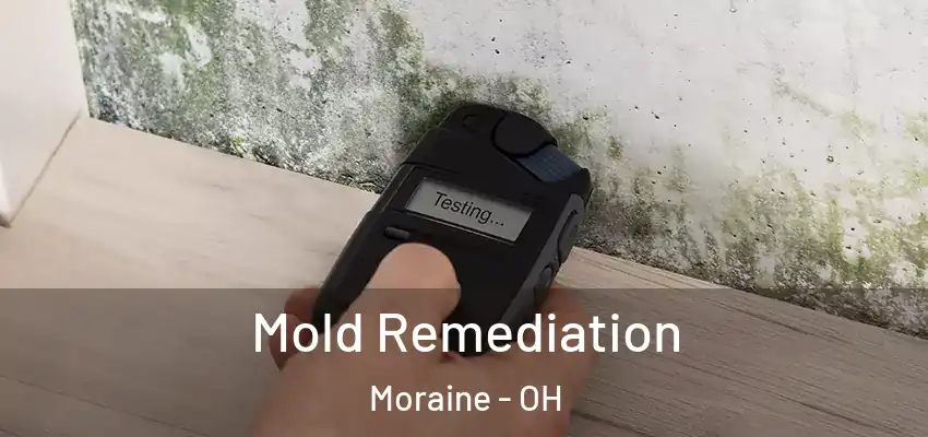 Mold Remediation Moraine - OH