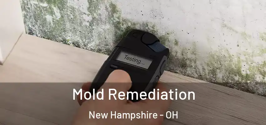  Mold Remediation New Hampshire - OH