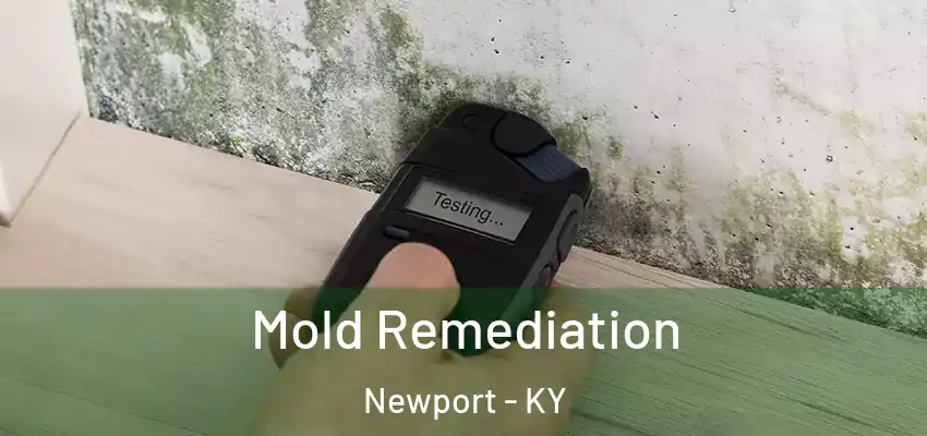  Mold Remediation Newport - KY