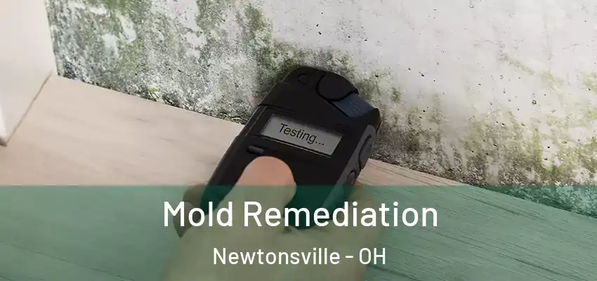  Mold Remediation Newtonsville - OH