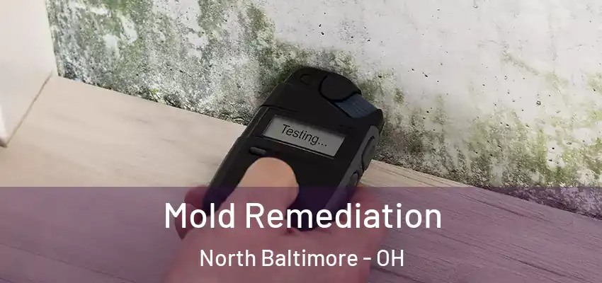  Mold Remediation North Baltimore - OH