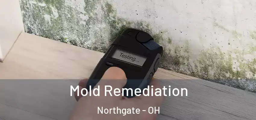  Mold Remediation Northgate - OH