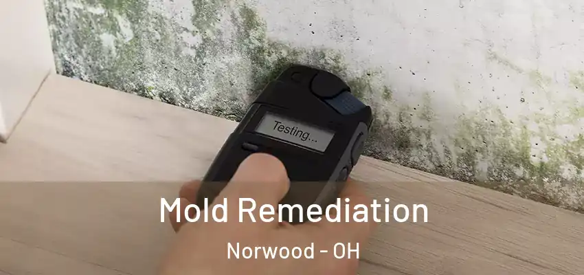  Mold Remediation Norwood - OH
