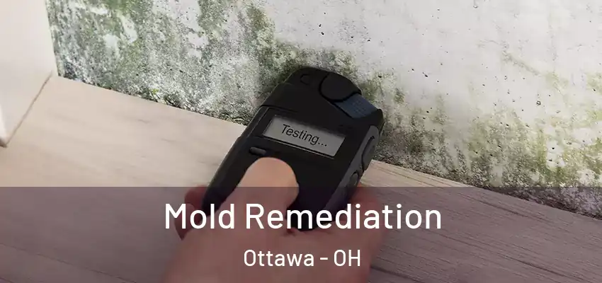  Mold Remediation Ottawa - OH