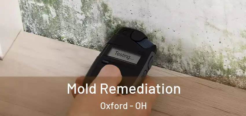Mold Remediation Oxford - OH