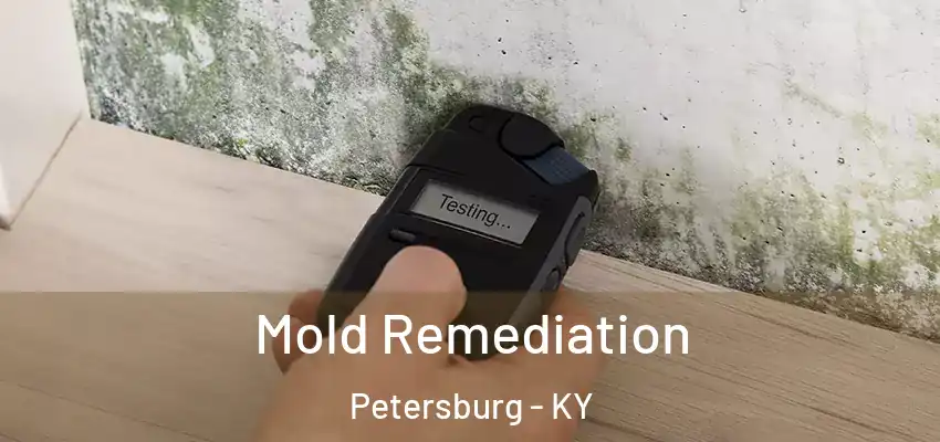  Mold Remediation Petersburg - KY