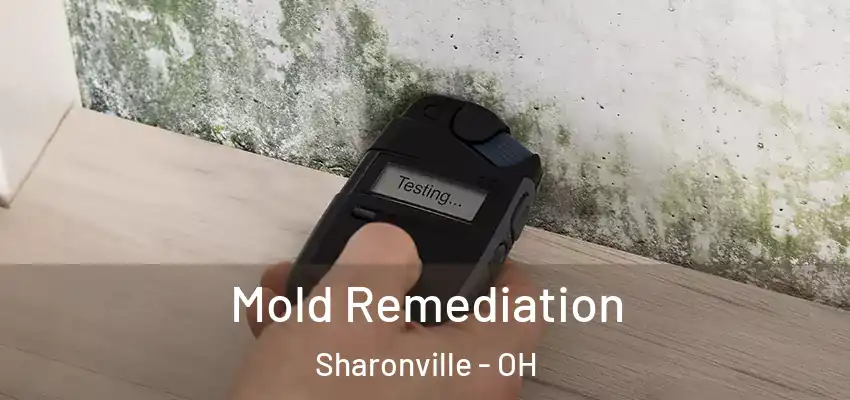  Mold Remediation Sharonville - OH