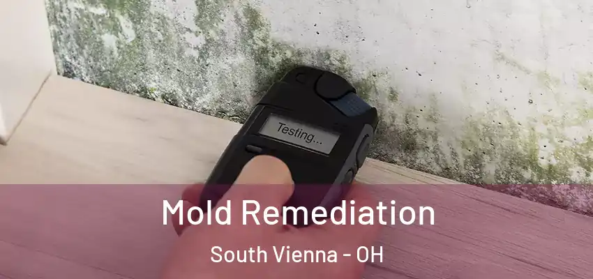 Mold Remediation South Vienna - OH