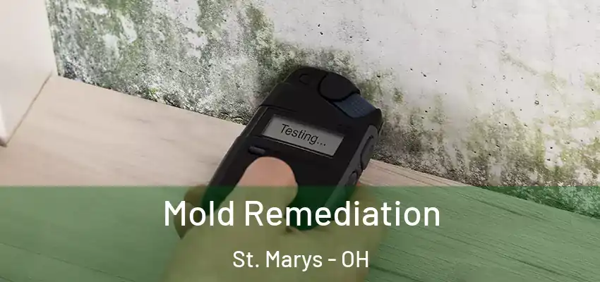  Mold Remediation St. Marys - OH