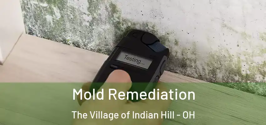  Mold Remediation The Village of Indian Hill - OH