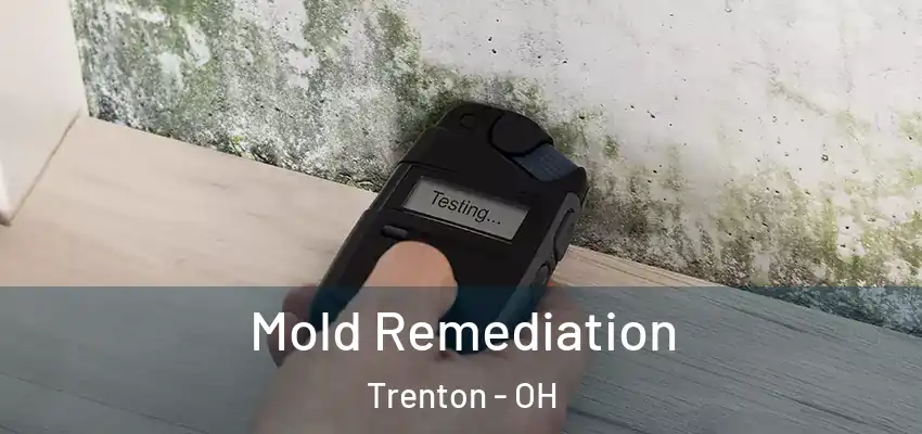  Mold Remediation Trenton - OH