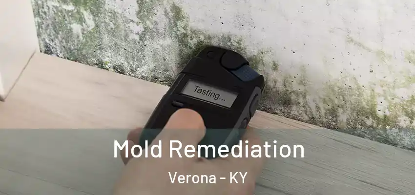  Mold Remediation Verona - KY