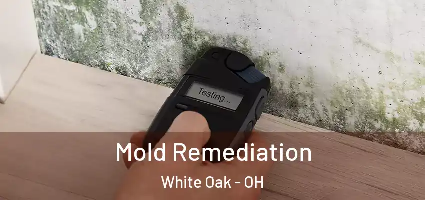  Mold Remediation White Oak - OH