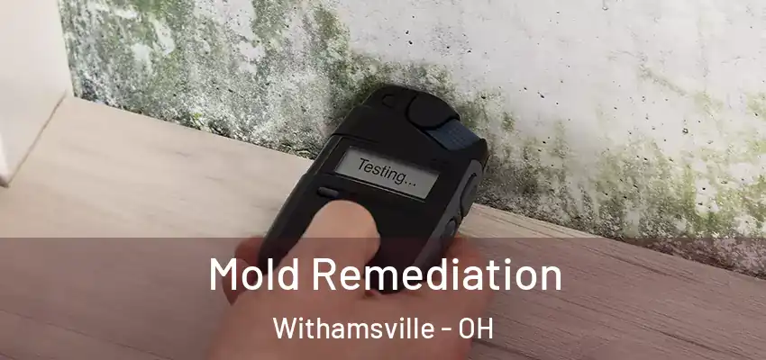  Mold Remediation Withamsville - OH