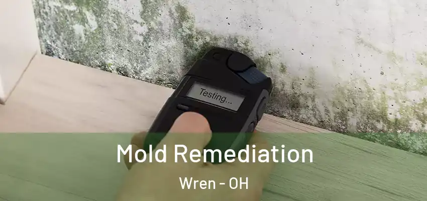  Mold Remediation Wren - OH
