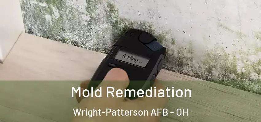  Mold Remediation Wright-Patterson AFB - OH