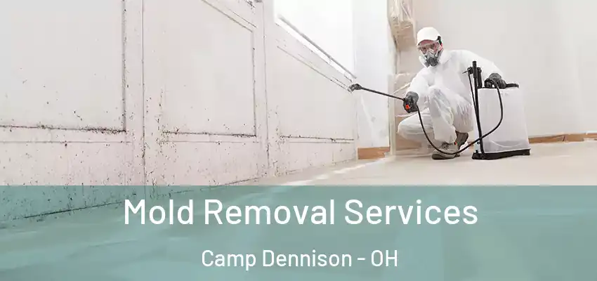  Mold Removal Services Camp Dennison - OH