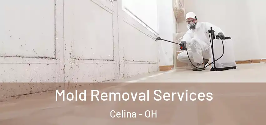  Mold Removal Services Celina - OH