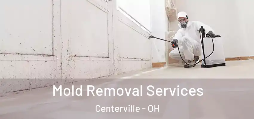  Mold Removal Services Centerville - OH