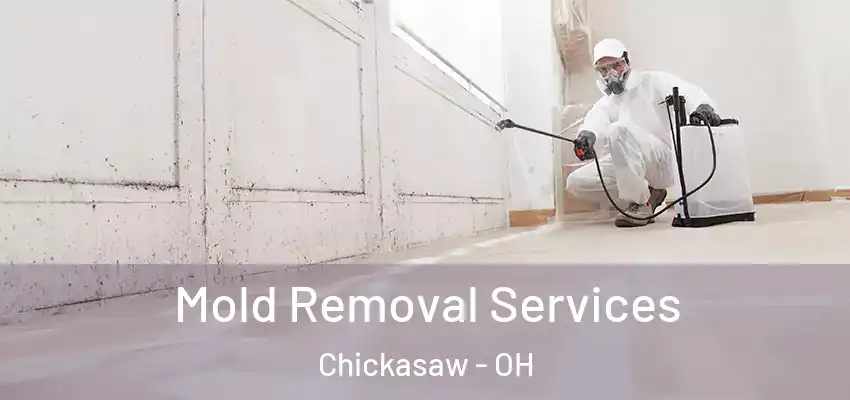  Mold Removal Services Chickasaw - OH