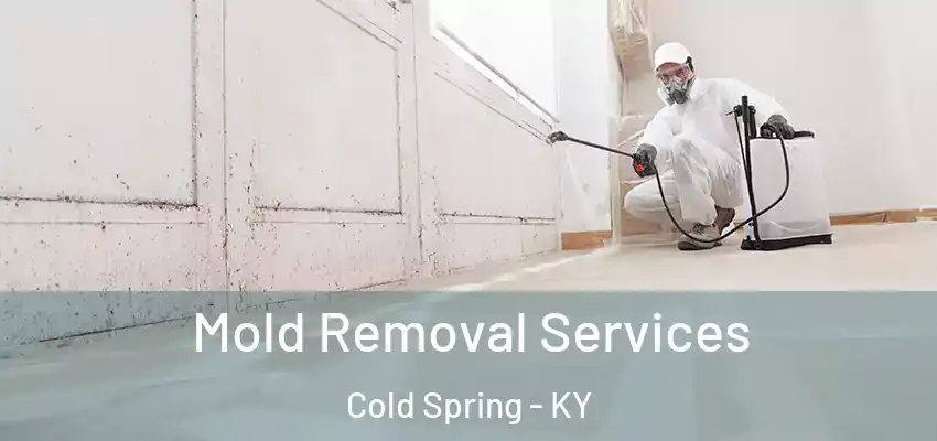  Mold Removal Services Cold Spring - KY