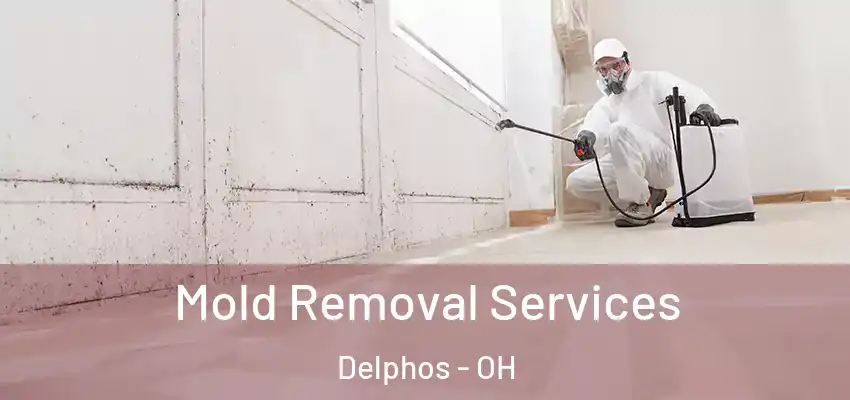  Mold Removal Services Delphos - OH