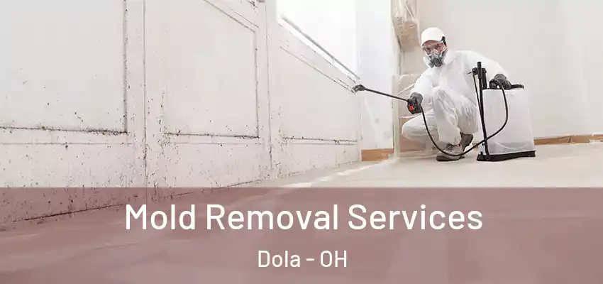  Mold Removal Services Dola - OH