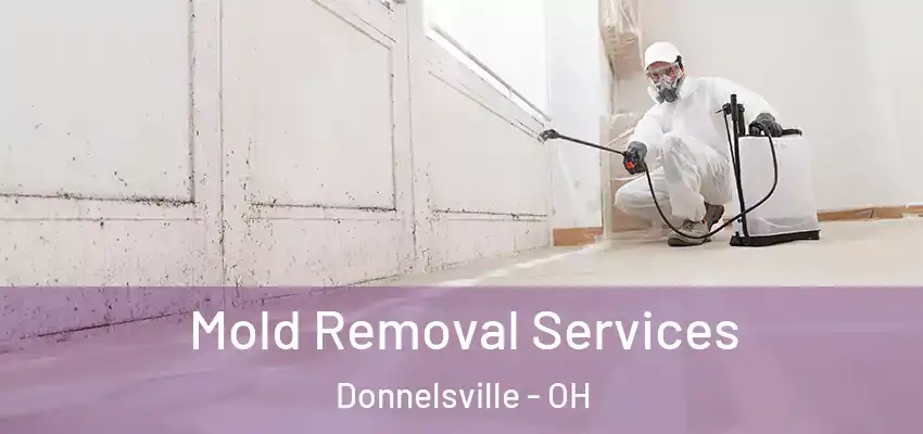  Mold Removal Services Donnelsville - OH