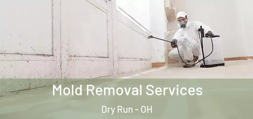  Mold Removal Services Dry Run - OH