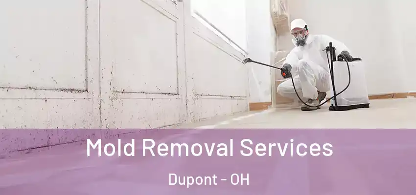  Mold Removal Services Dupont - OH