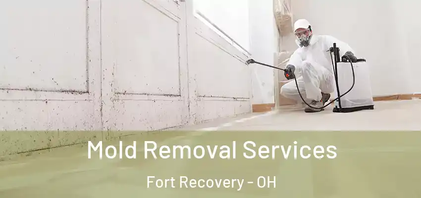  Mold Removal Services Fort Recovery - OH