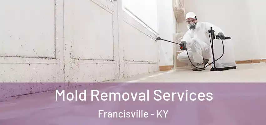  Mold Removal Services Francisville - KY