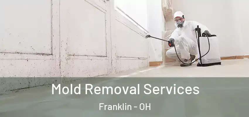 Mold Removal Services Franklin - OH