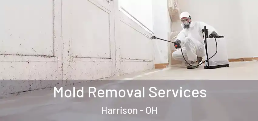 Mold Removal Services Harrison - OH