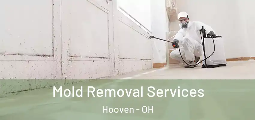  Mold Removal Services Hooven - OH