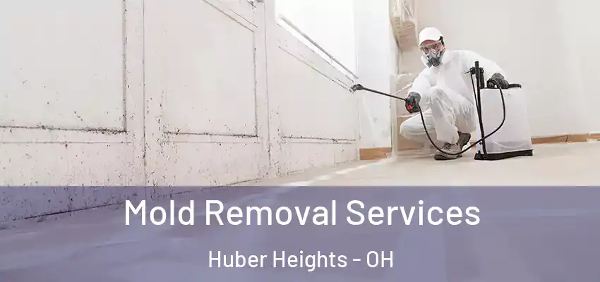  Mold Removal Services Huber Heights - OH