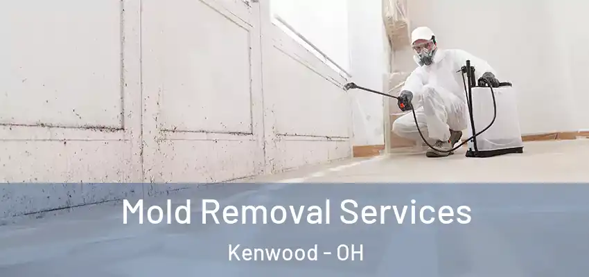 Mold Removal Services Kenwood - OH