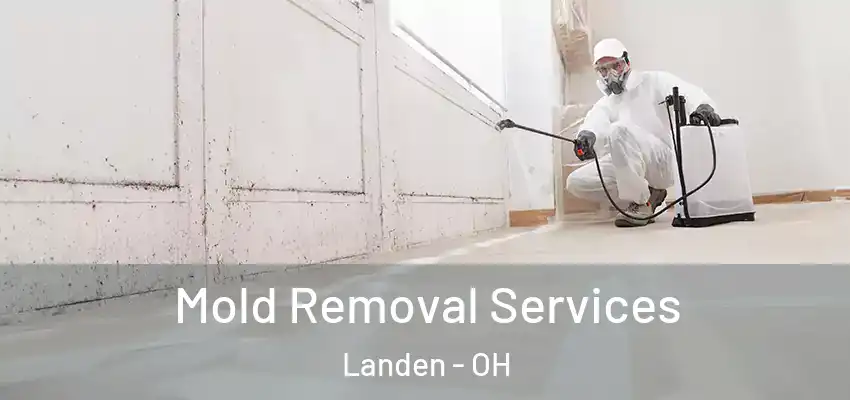 Mold Removal Services Landen - OH