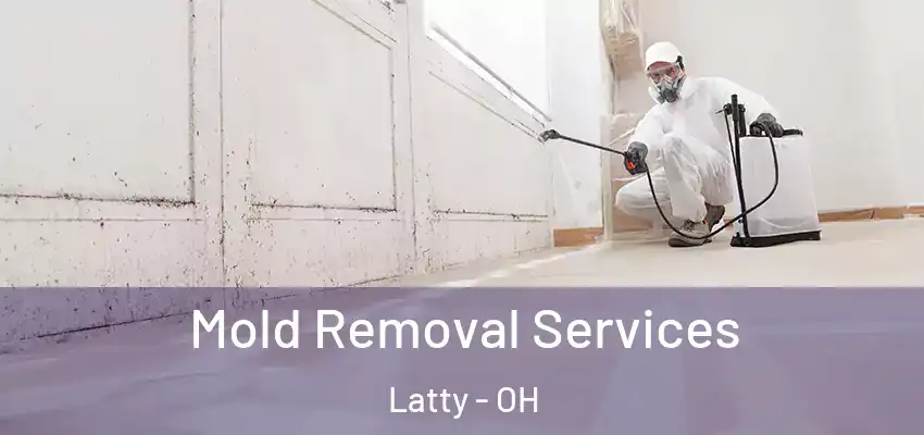  Mold Removal Services Latty - OH