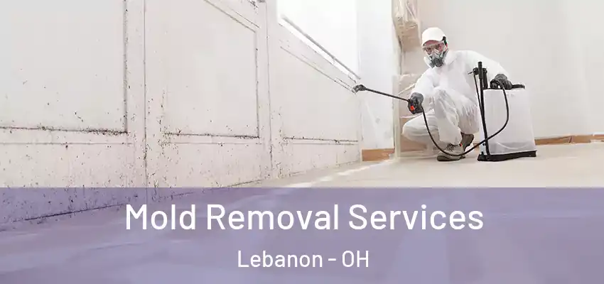  Mold Removal Services Lebanon - OH