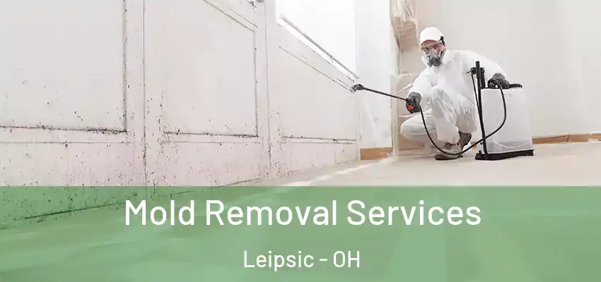 Mold Removal Services Leipsic - OH