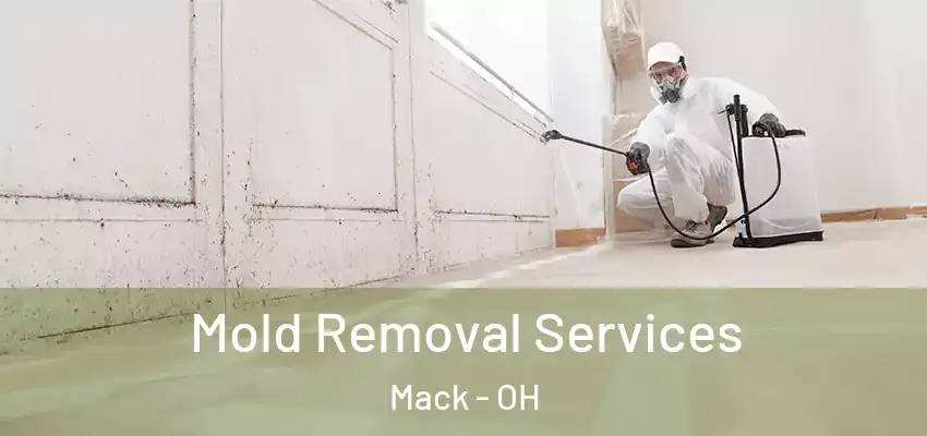 Mold Removal Services Mack - OH