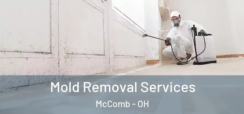  Mold Removal Services McComb - OH